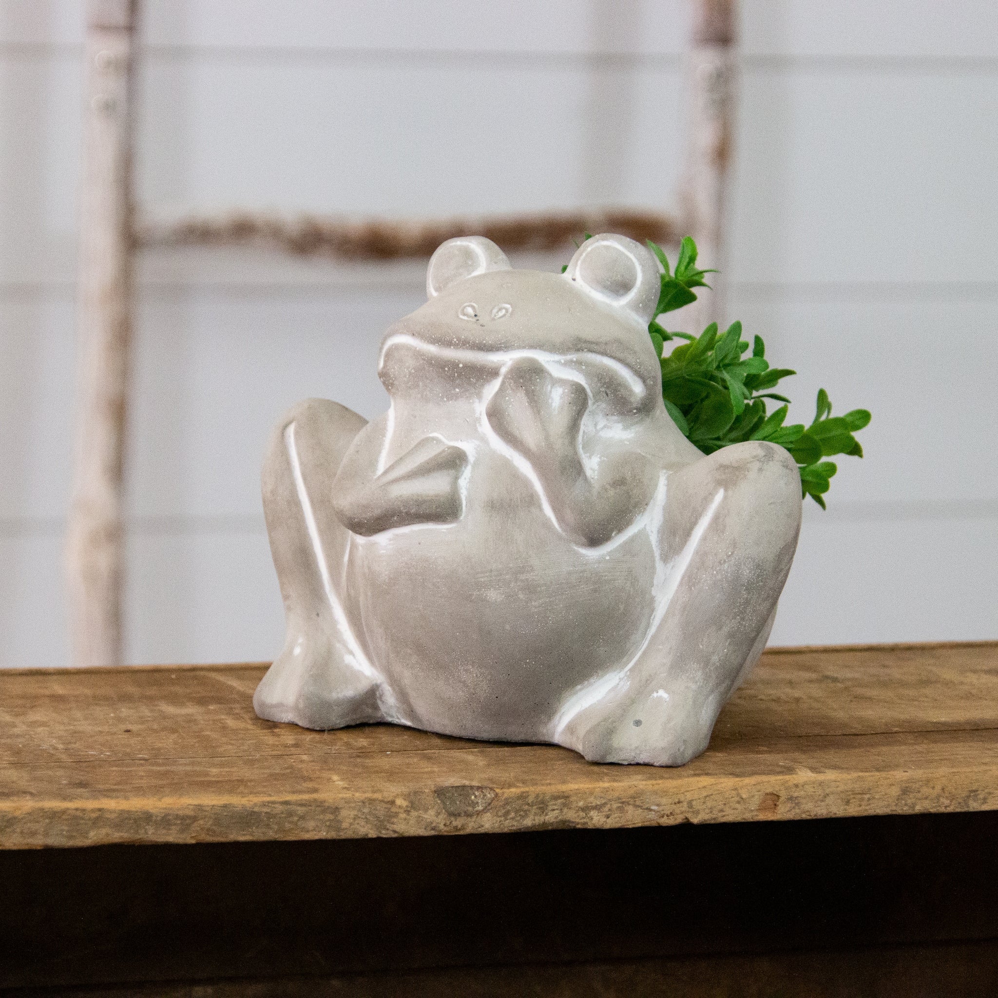 Cement Planter - Frog