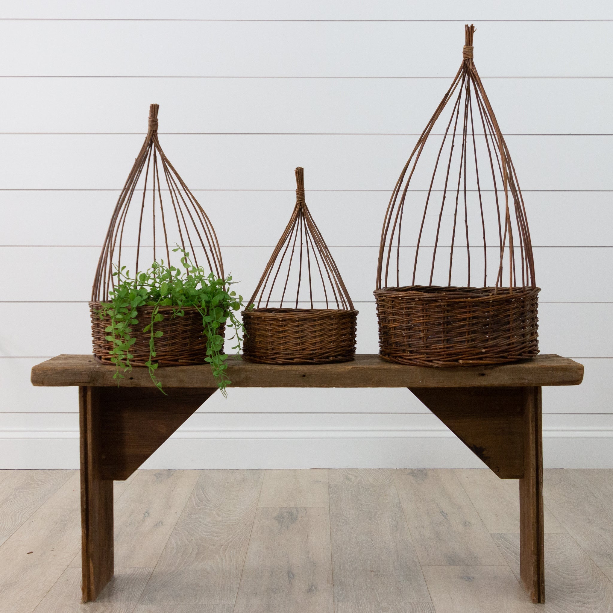 Willow Obelisk Planters