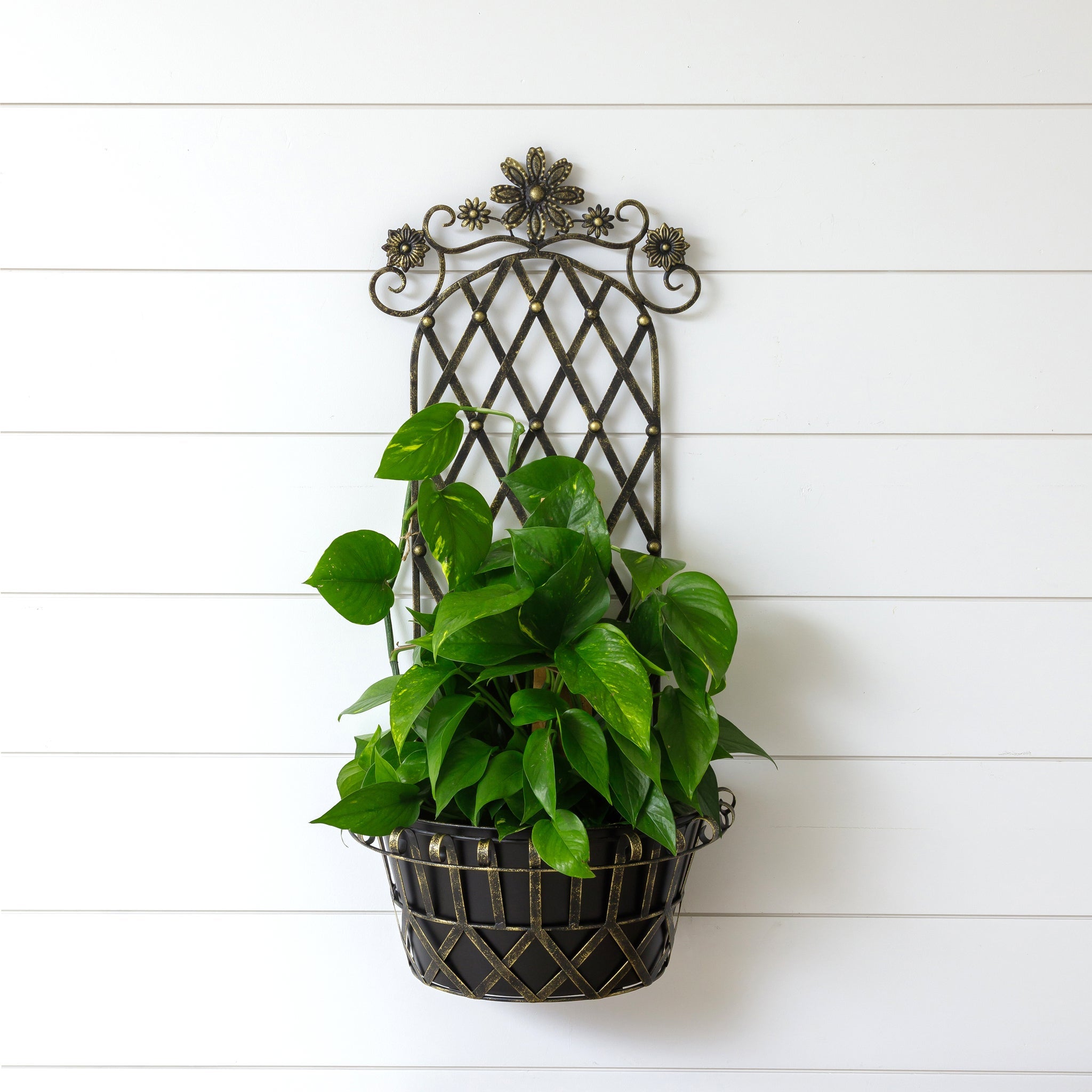Metal Wall Planter With Trellis