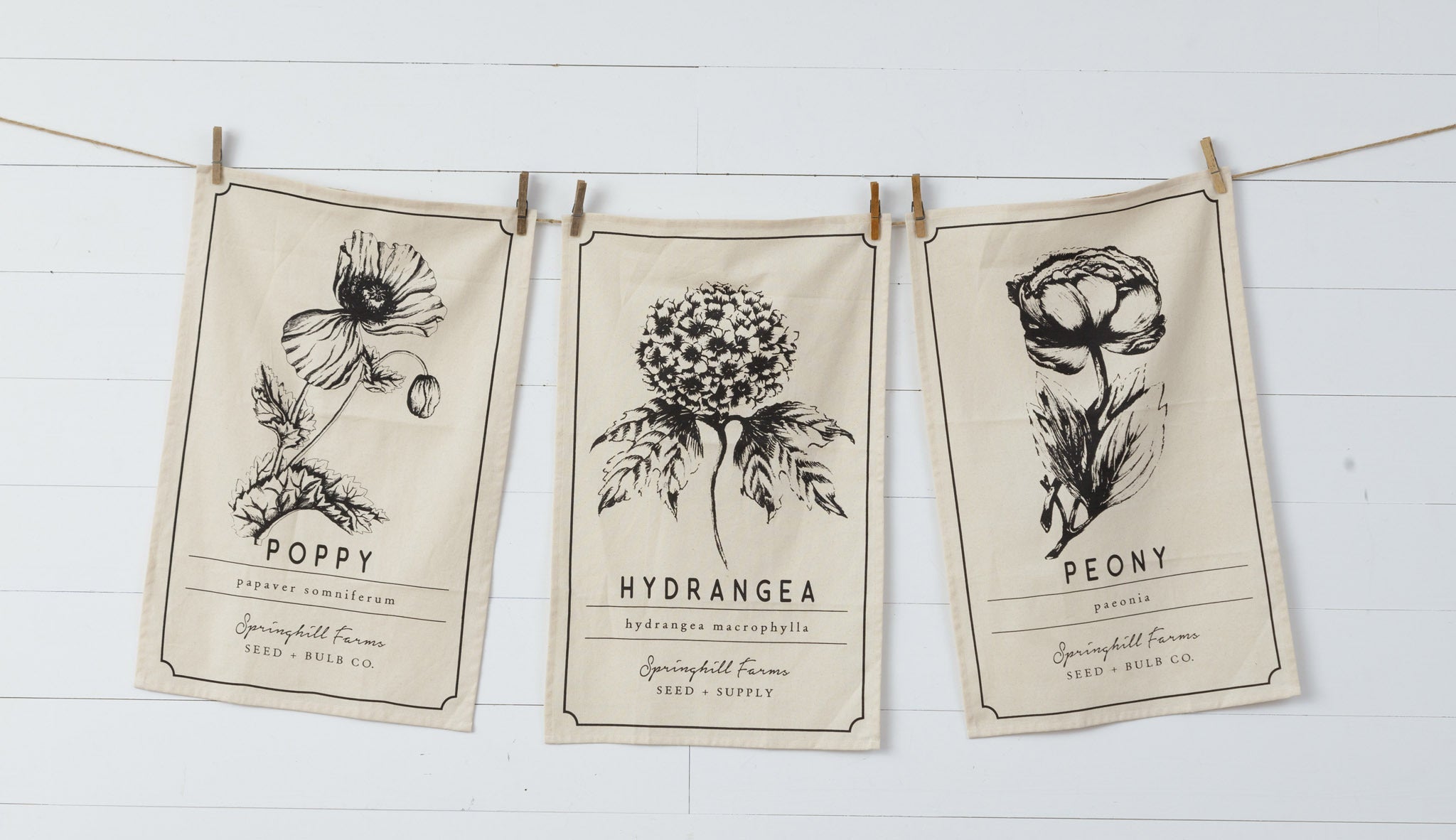 Black & White Botanical Tea Towels (S/3)