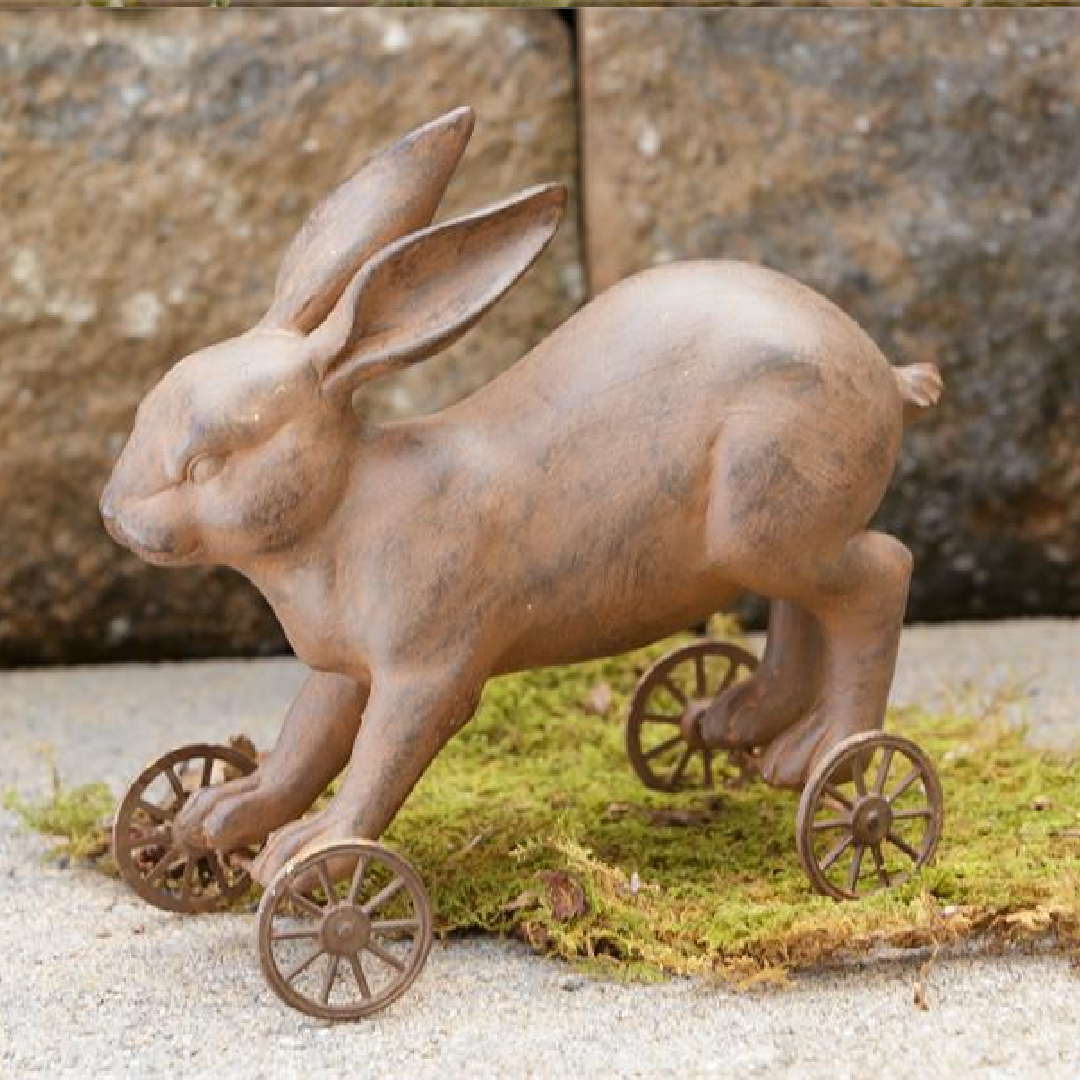 Rolling Bunny Accent