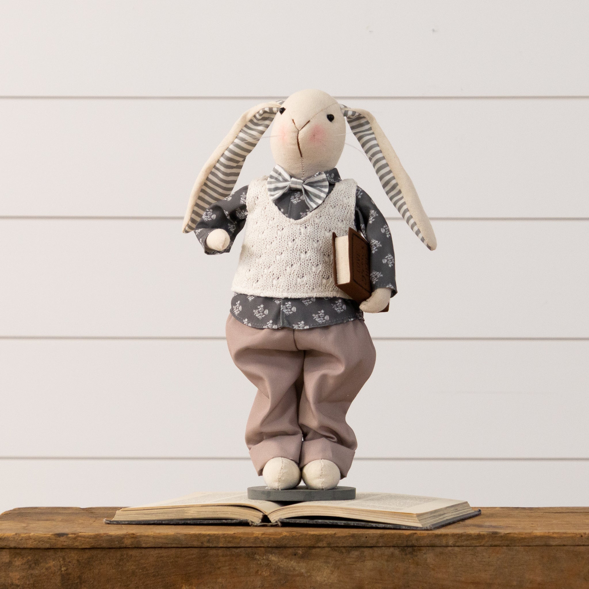 Neutral Dressed Rabbit With Book