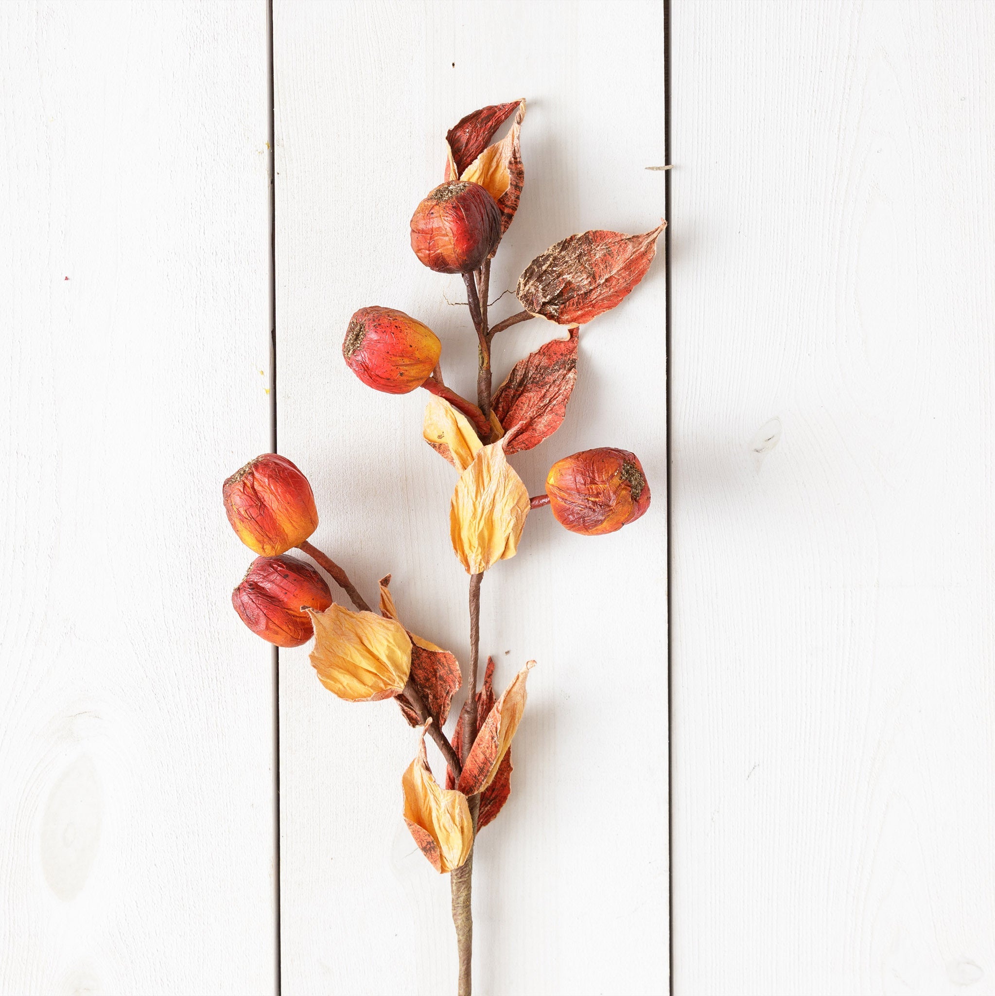 Rose Hips Branch (S/3)