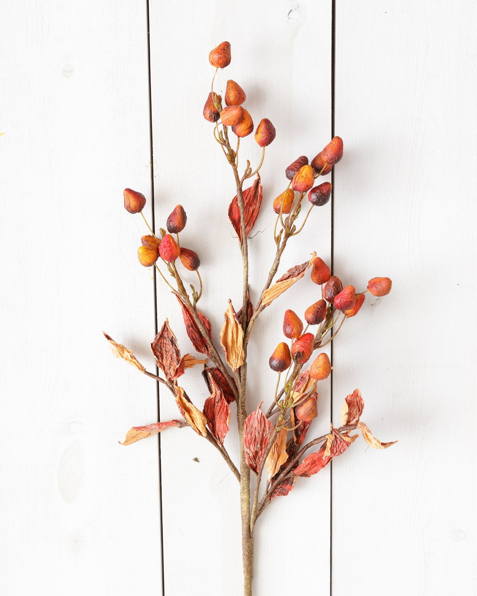 Dried Flower Buds Branch (S/2)