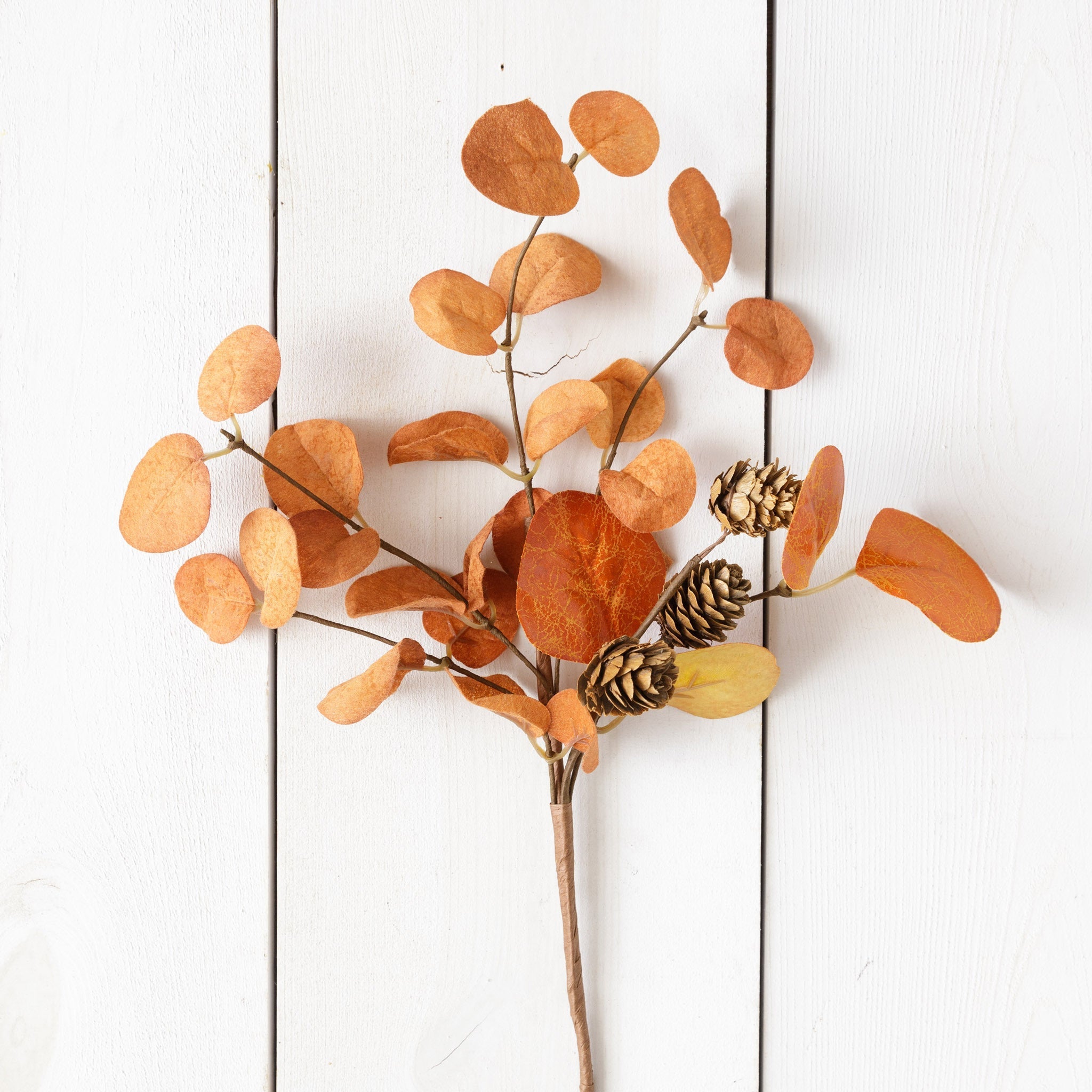 Orange Eucalyptus & Pinecones Pick (S/4)