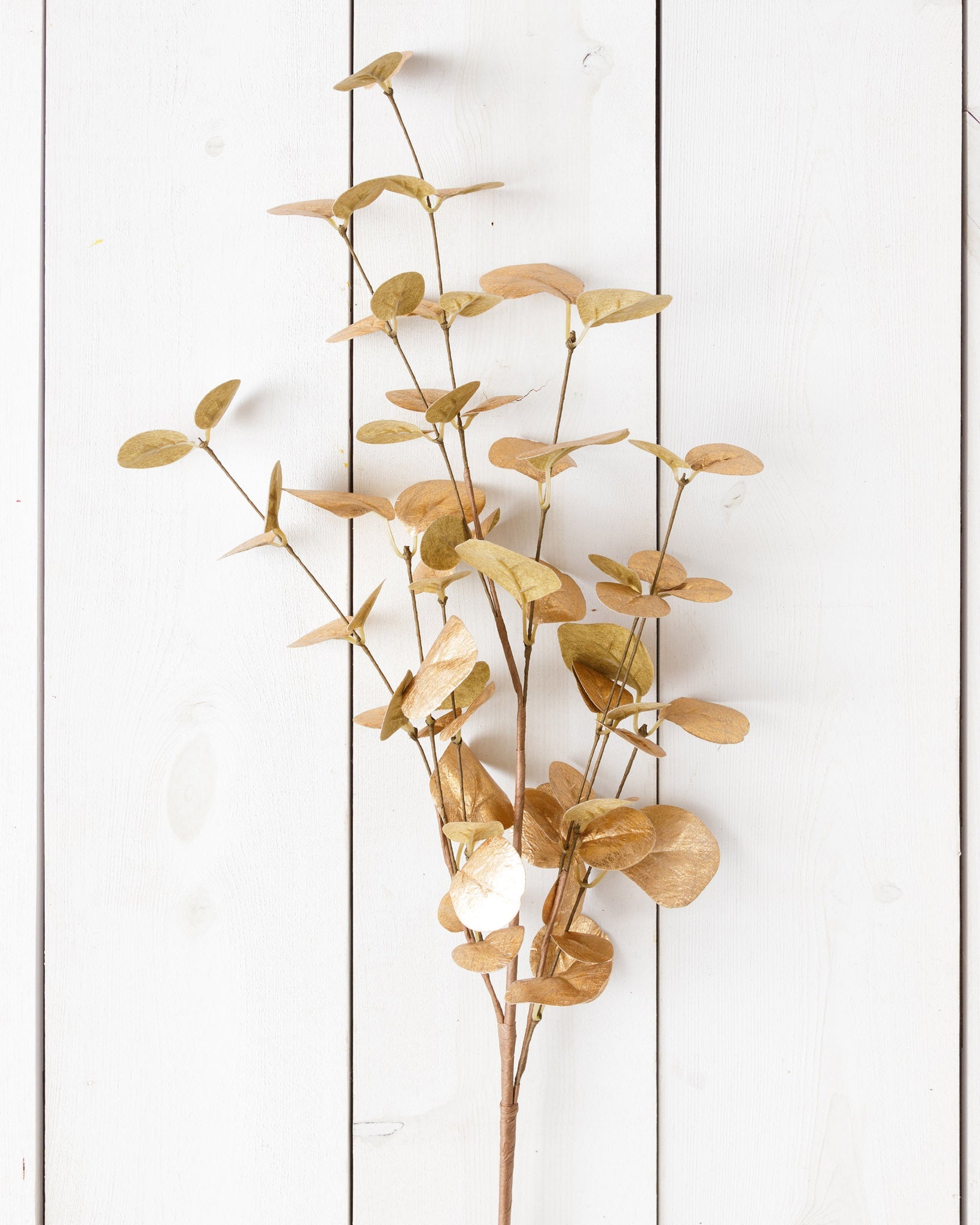 Copper Eucalyptus Branch (S/2)