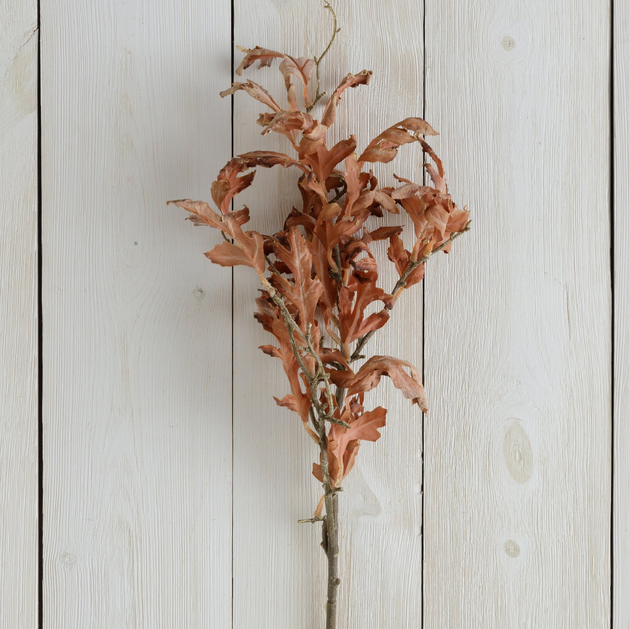 Dried Oak Leaves Branch - Brown (S/2)