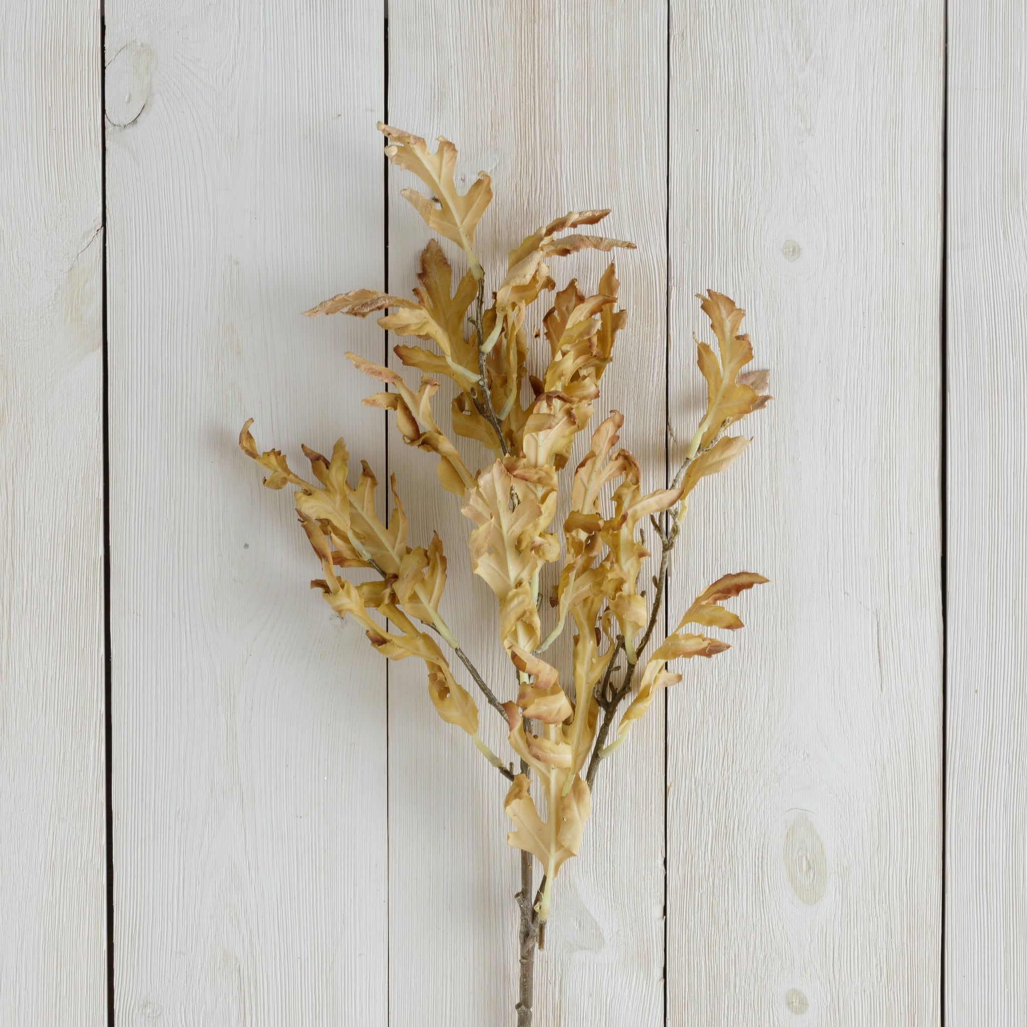 Dried Oak Leaves Branch - Yellow (S/2)