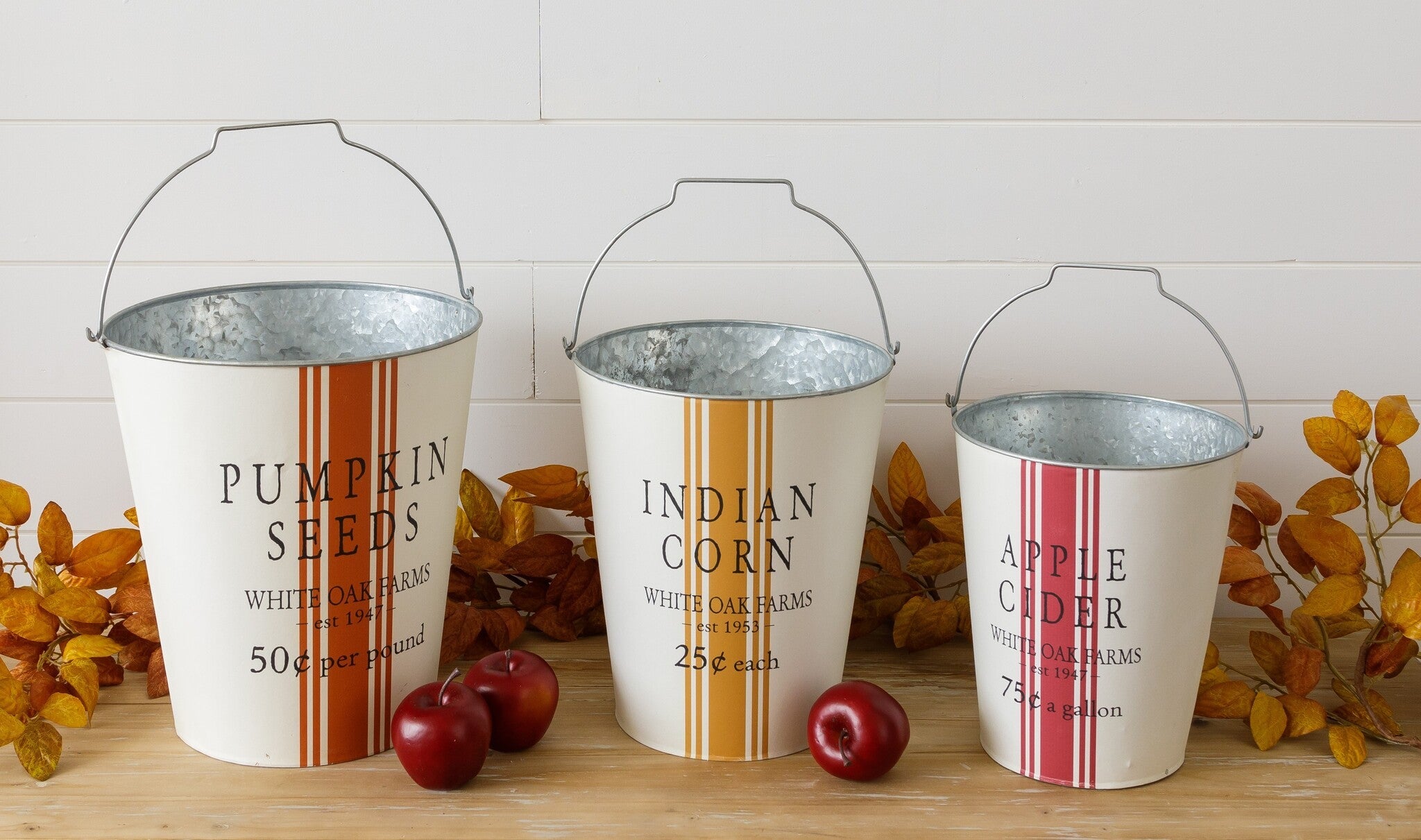 Fall Market Containers (S/3)