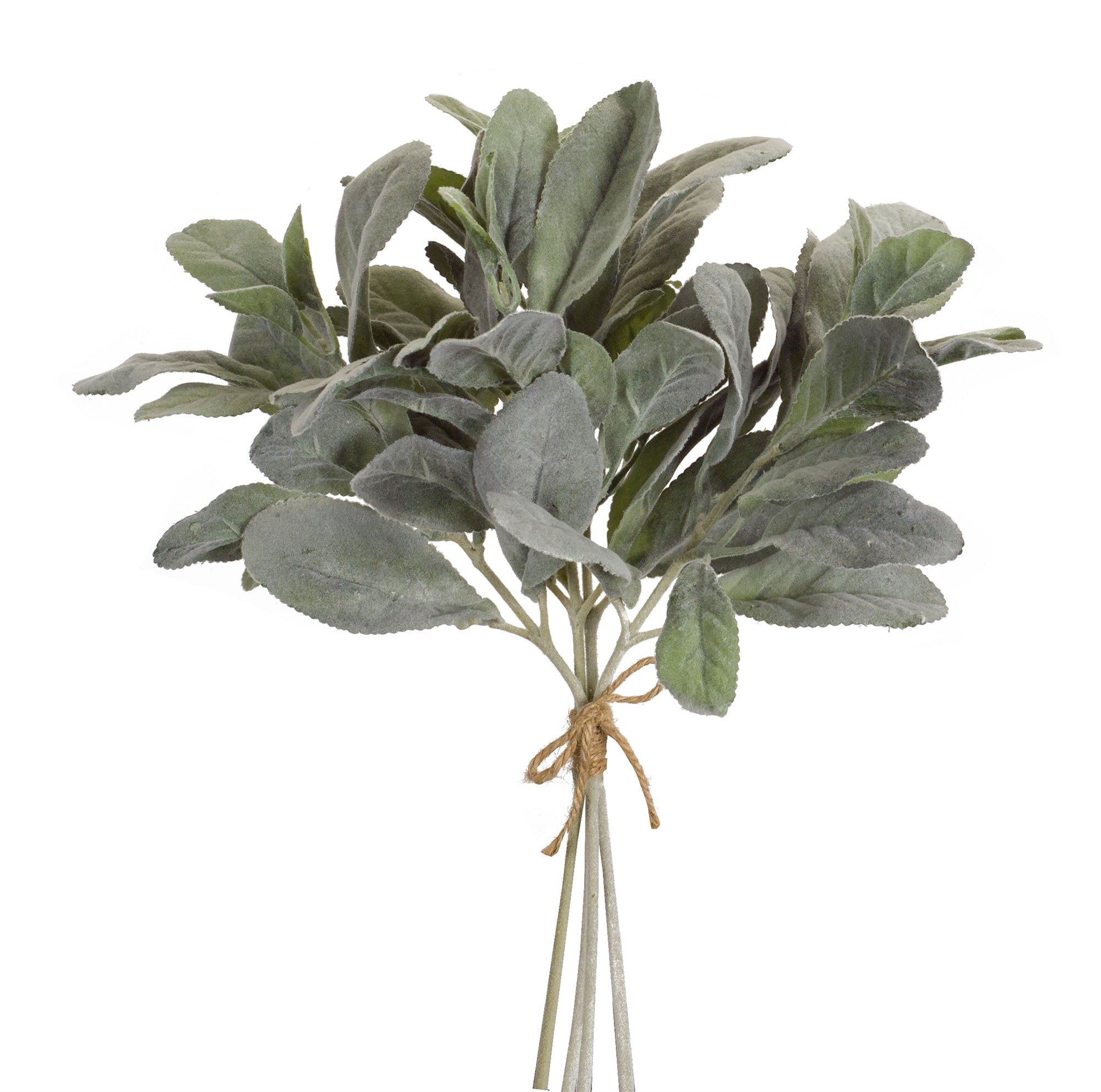 14.5" Lambs Ear Stem Bundle