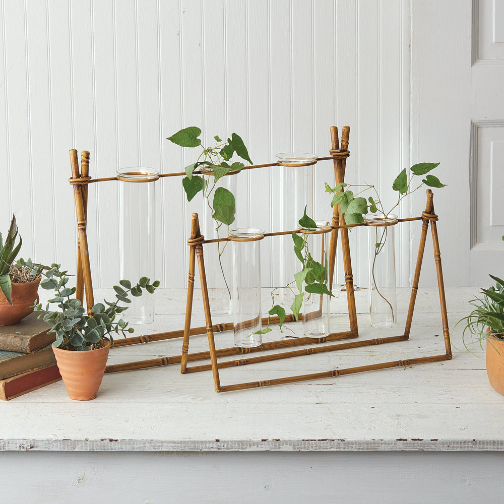 Bamboo Propagation Station