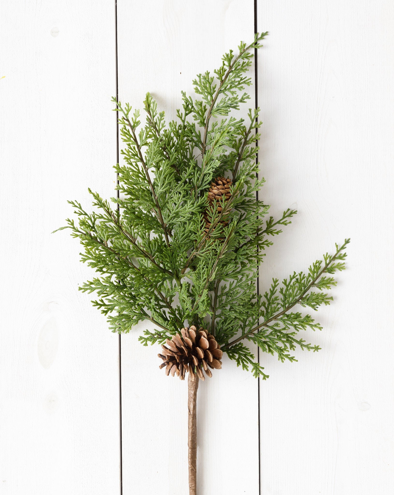 Cedar Branch w/ Cones (S/3)