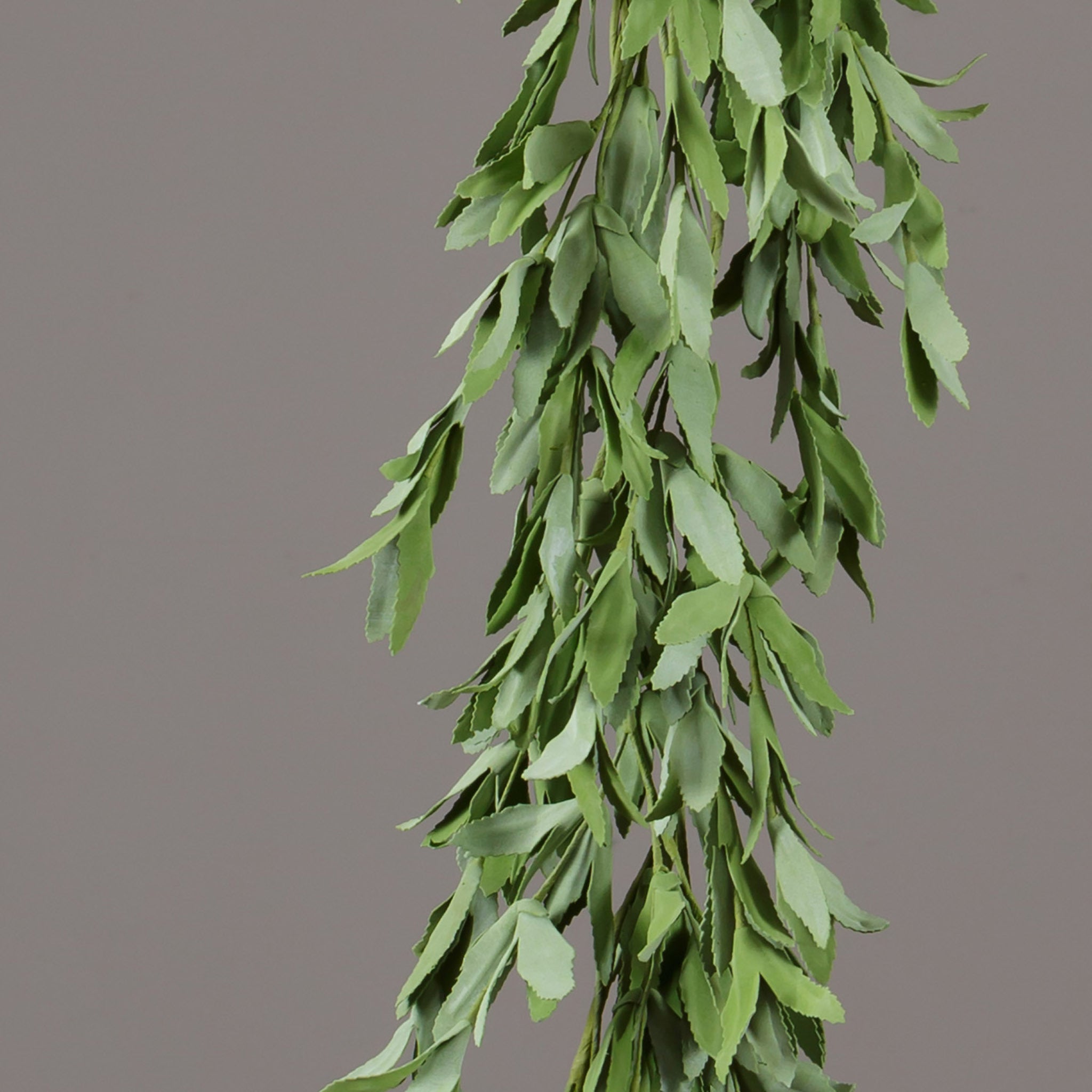 Herb Sage Garland