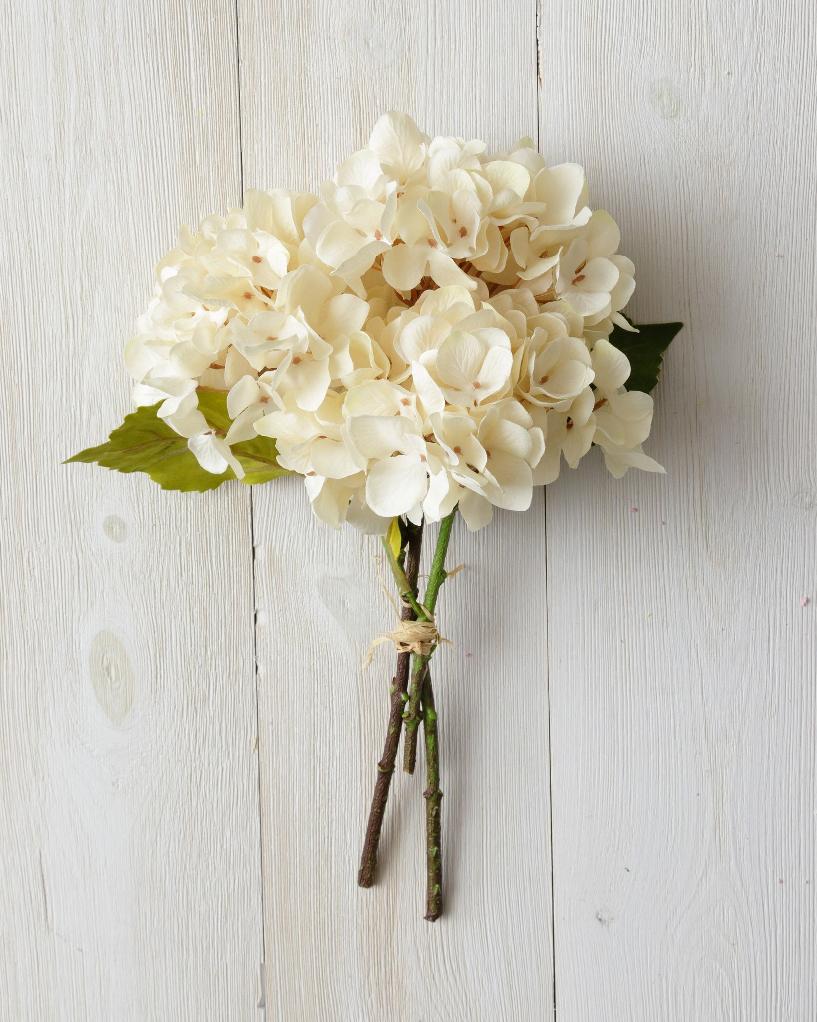 White Hydrangea Bunch
