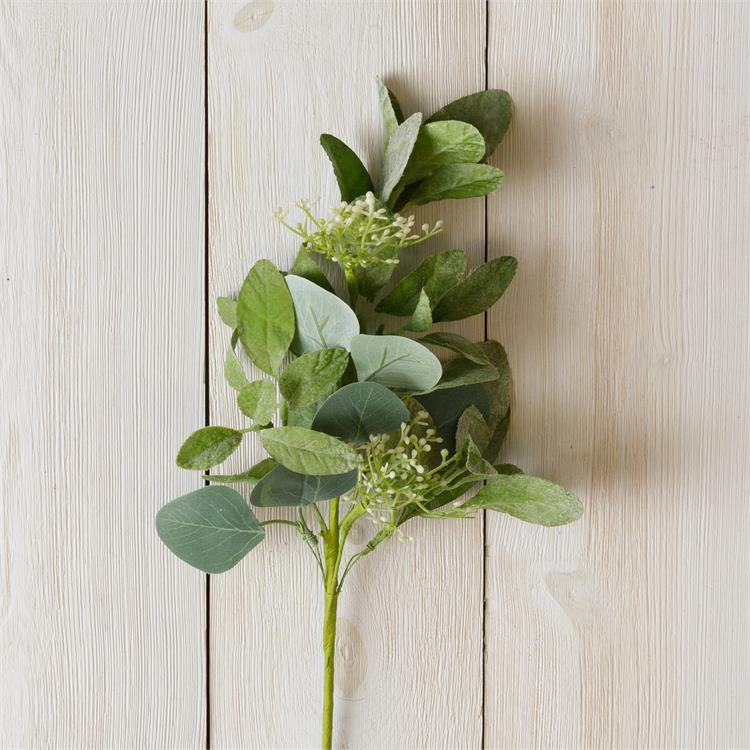 Seeded Eucalyptus Stem (S/3)