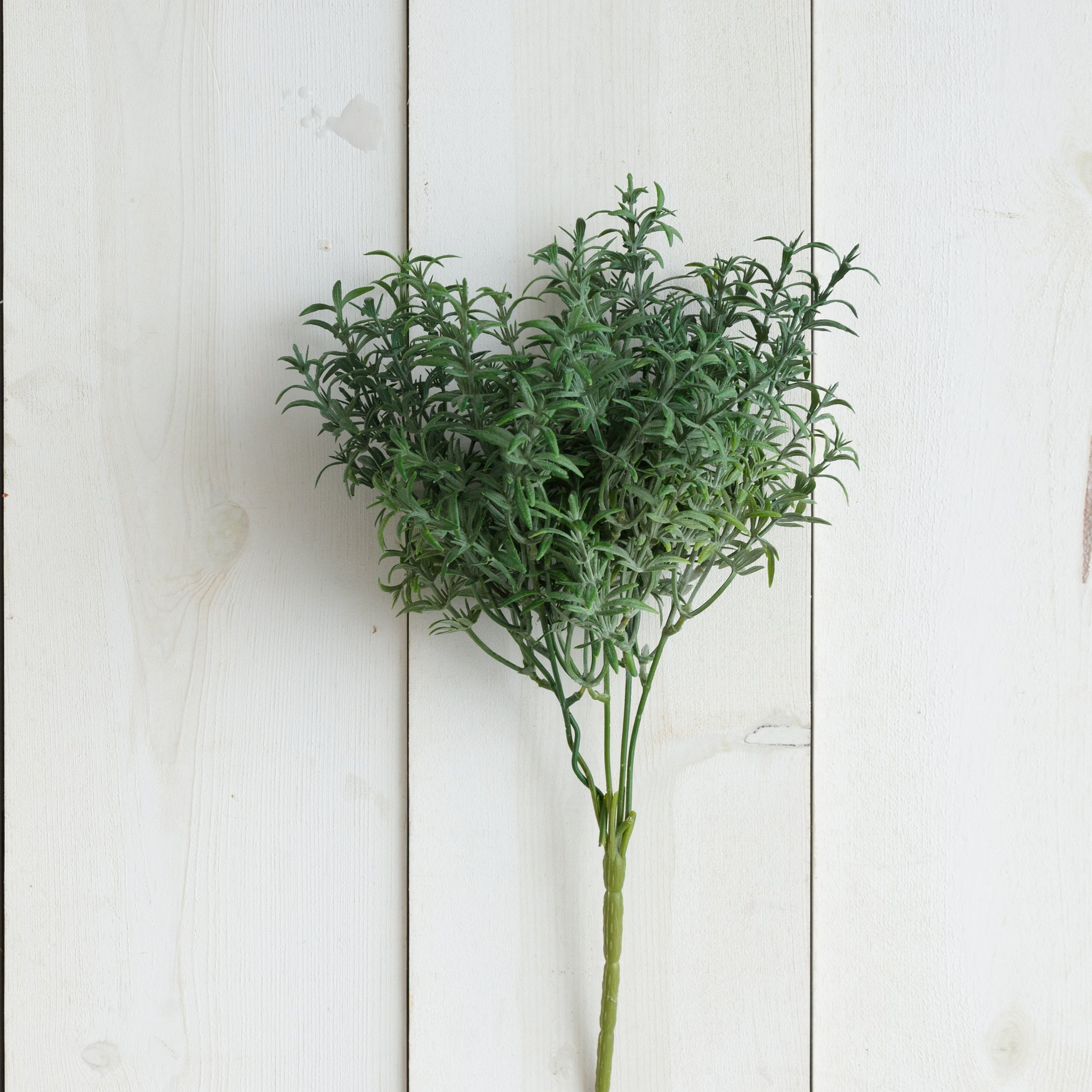Thyme Floral Stem (S/4)