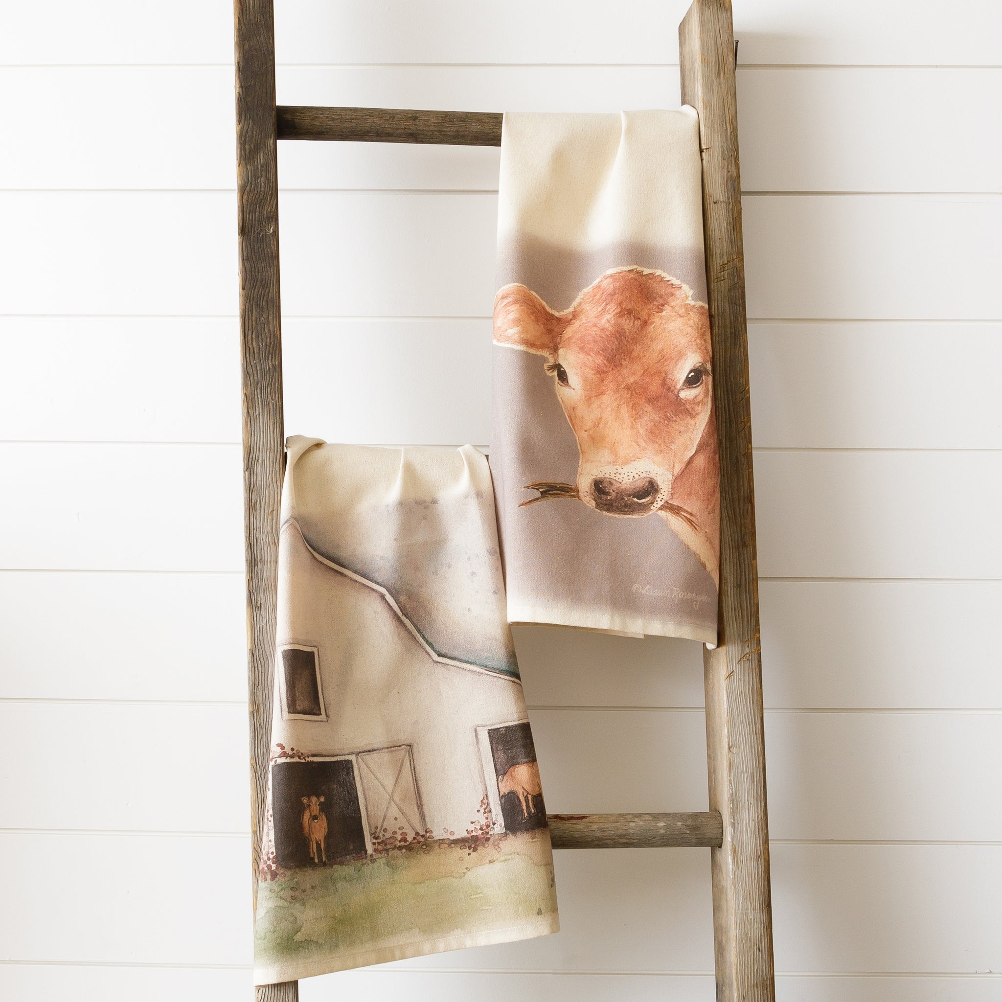 Grazing Cows & Barn Kitchen Towels (S/2)