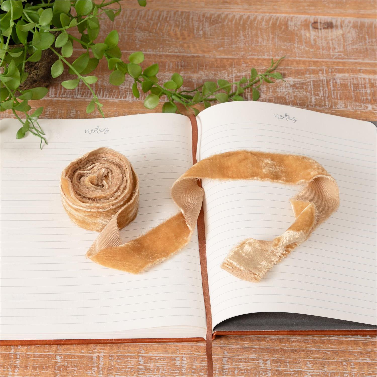 Champagne Raw Edge Velvet Ribbon