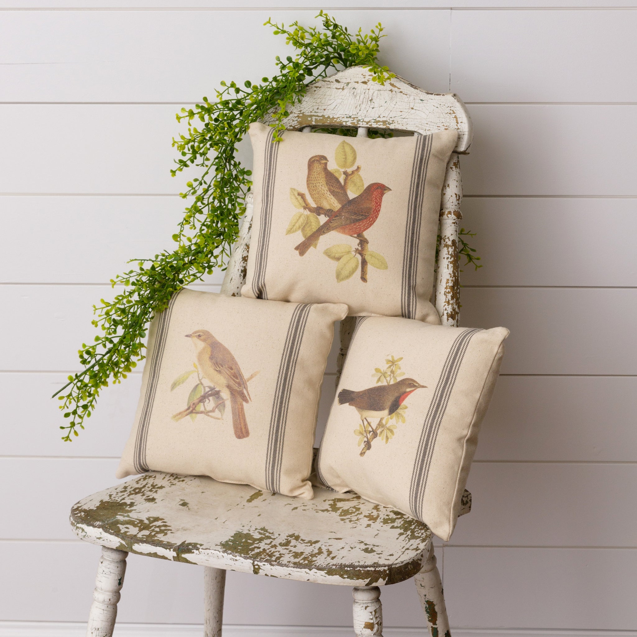 Vintage Birds Pillows (S/3)