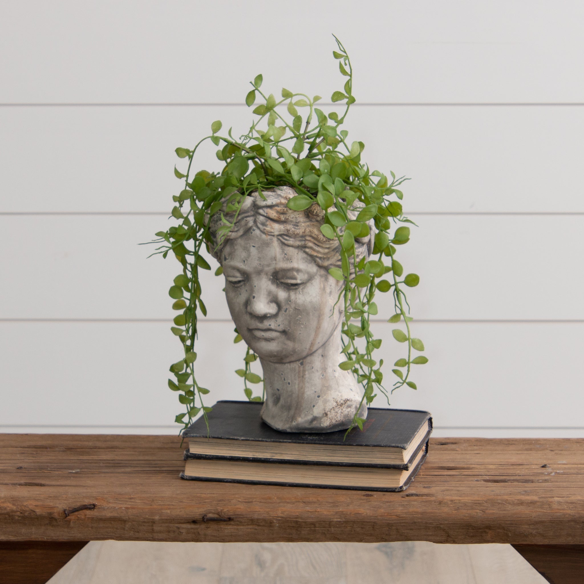 Cement Garden Head Planter