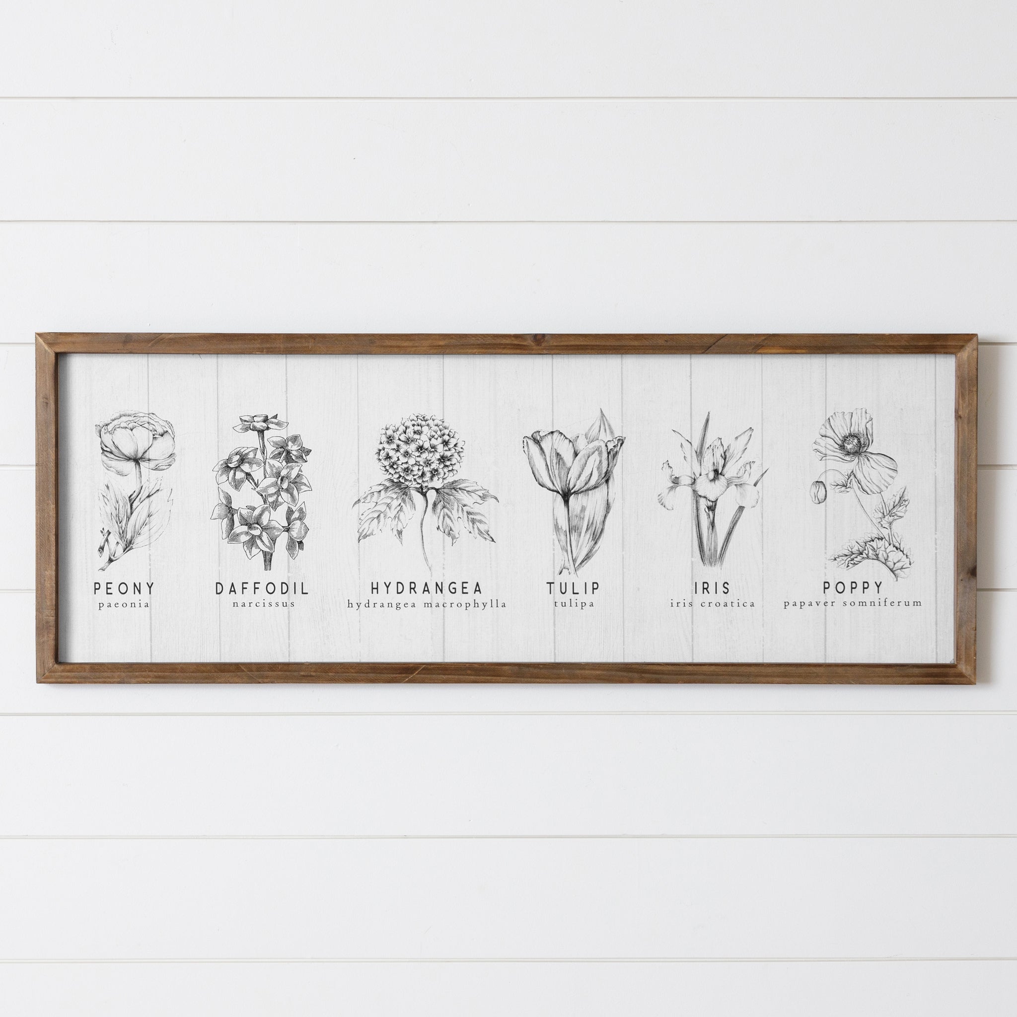 Black & White Botanical Wall Art