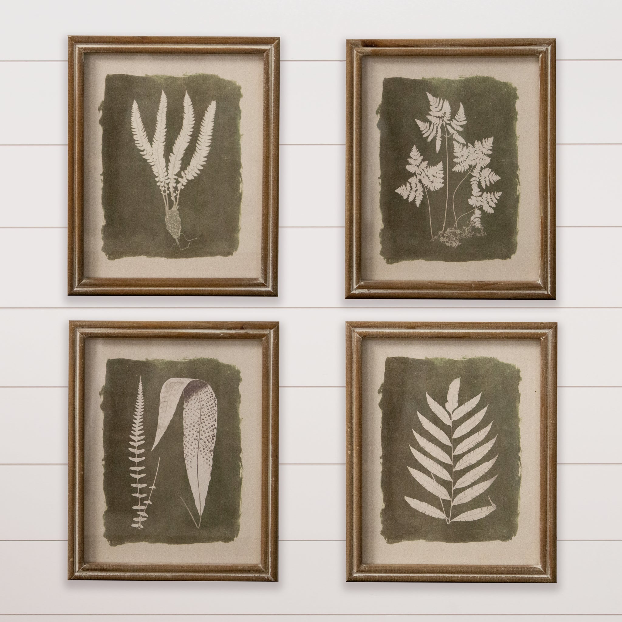 Green Leaf Silhouettes Framed Art Prints (S/4)