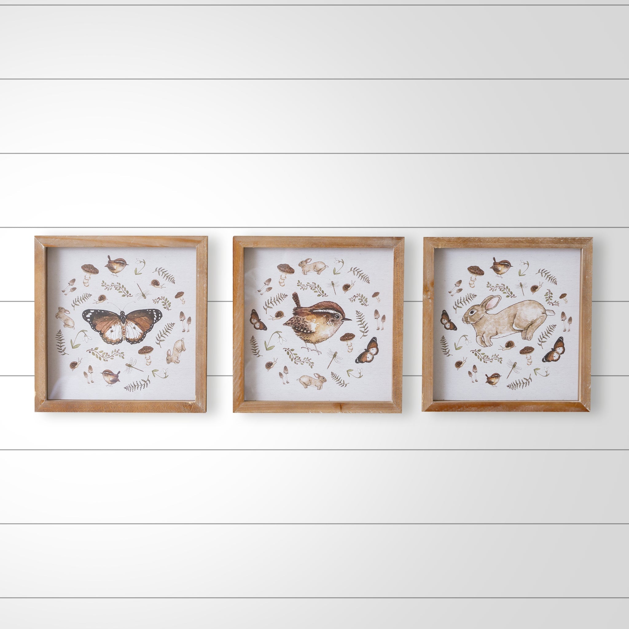 Bird, Butterfly, Rabbit Framed Prints