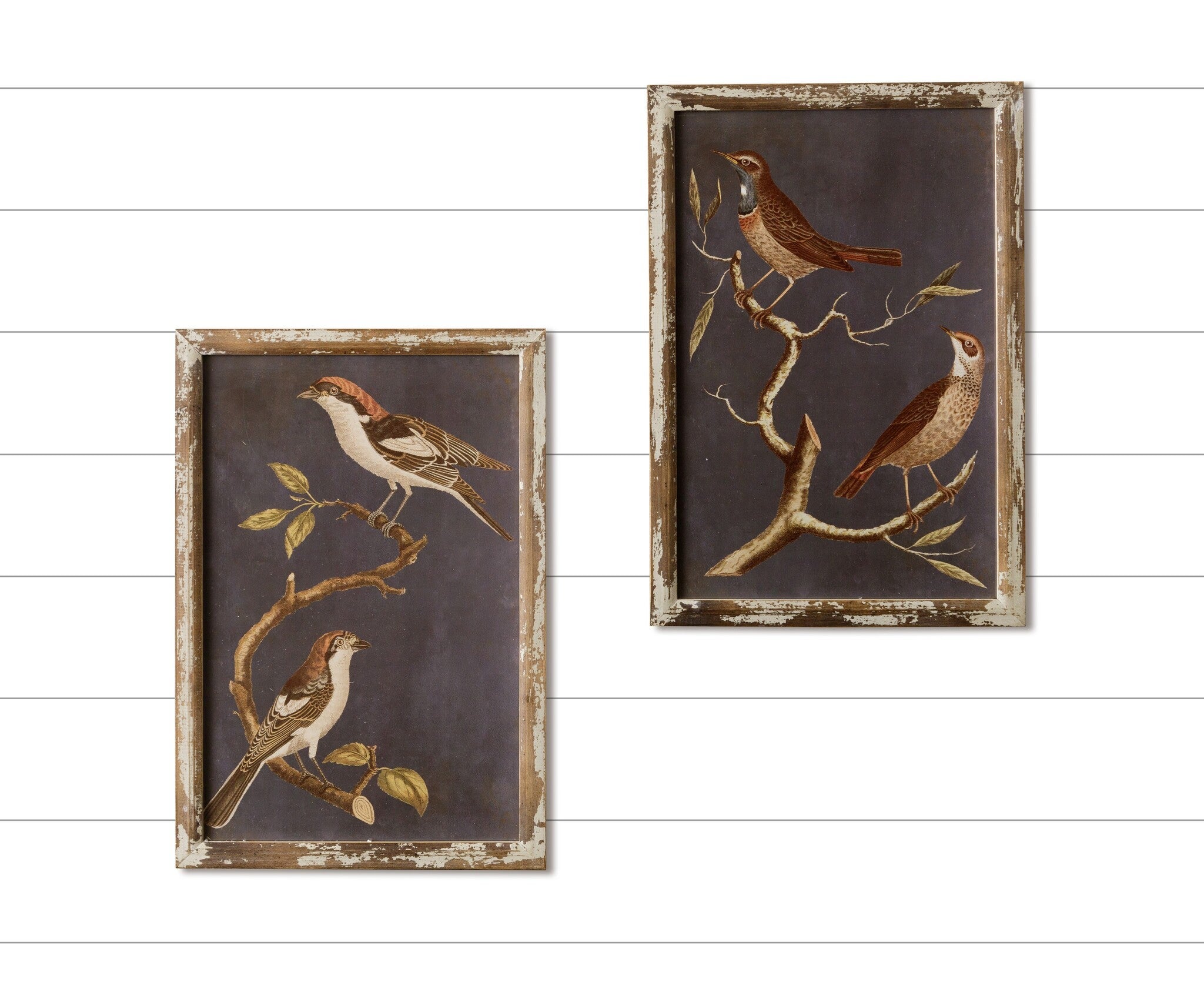 Birds on Branches Framed Art (S/2)
