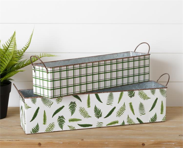 Botanical Supply Nesting Fern Containers