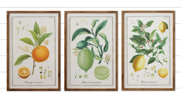 Citrus Framed Wall Art (S/3)