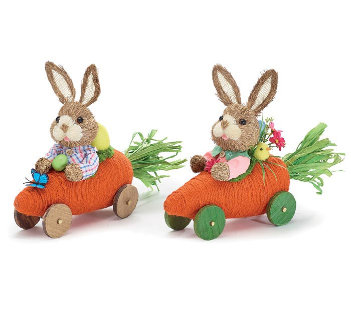 Sisal Bunnies in Carrot Cars (S/2)