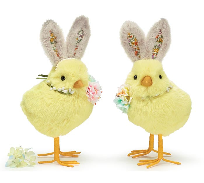 Chicks with Bunny Ears