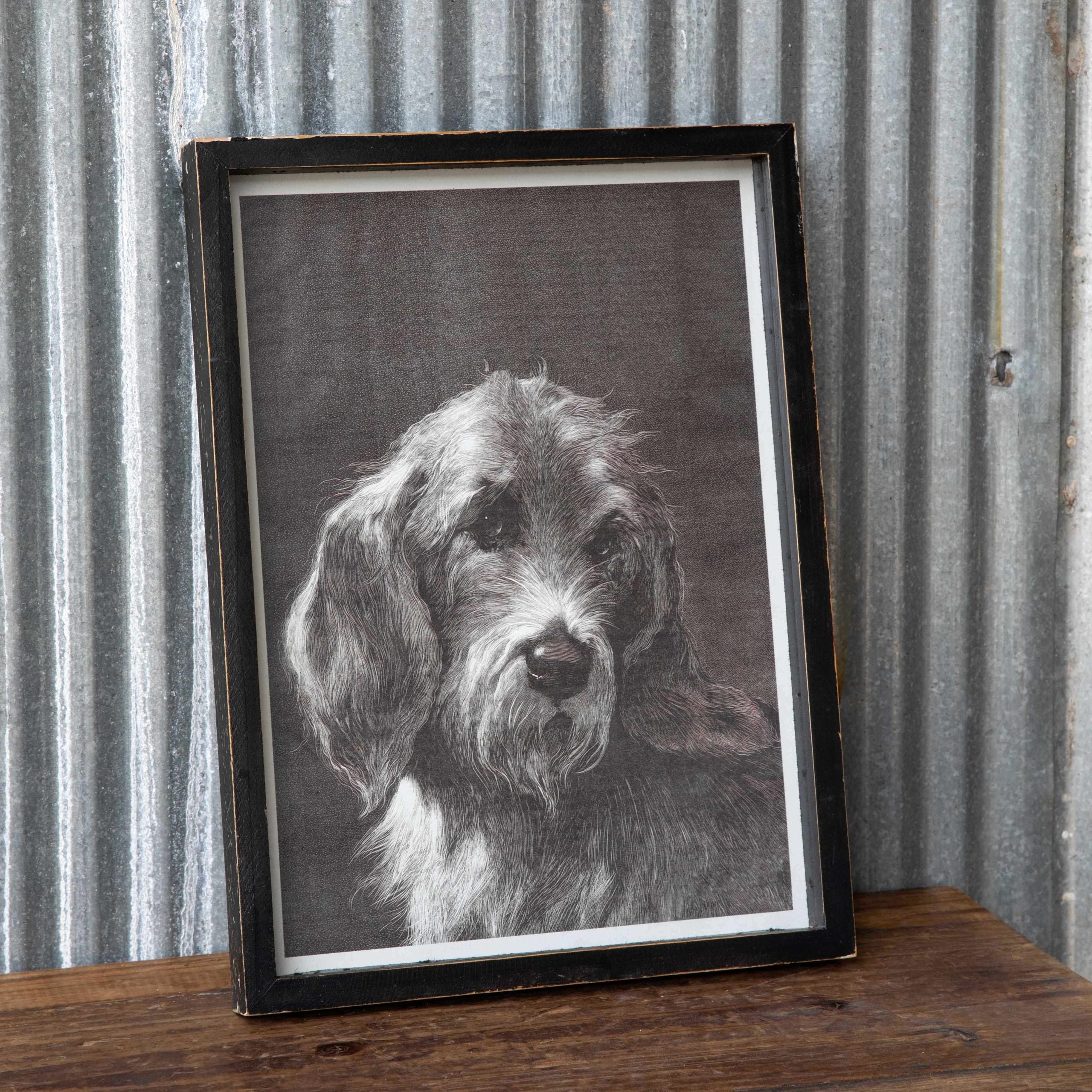 Old Friend Framed Print