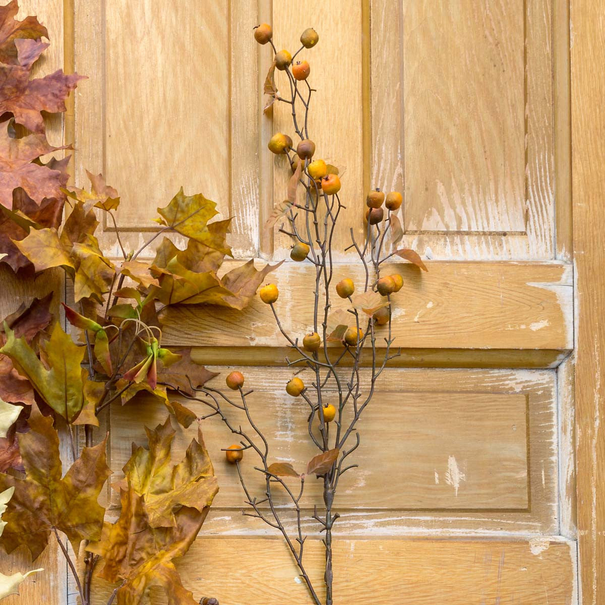 Wild Pear Branch (5610103734429)