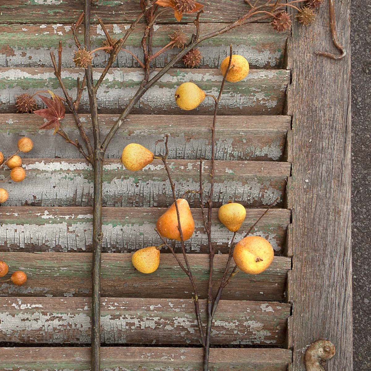 Autumn Golden Branch (5610103701661)