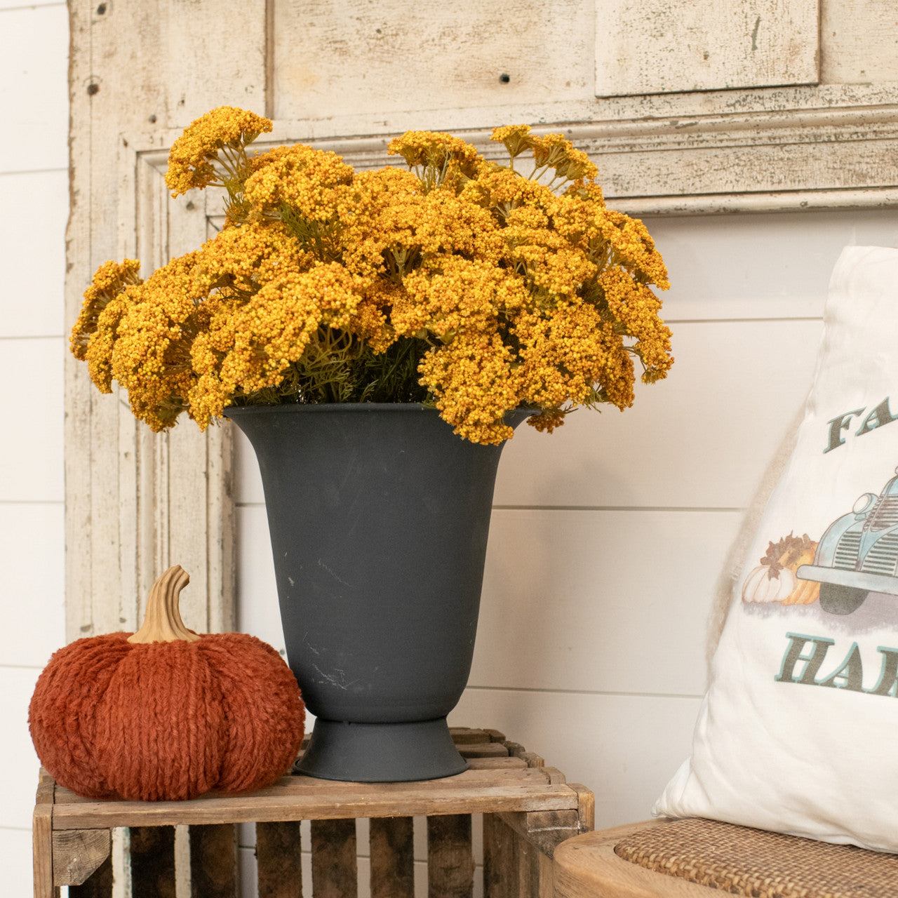 Yellow Queen Anne Lace Bush