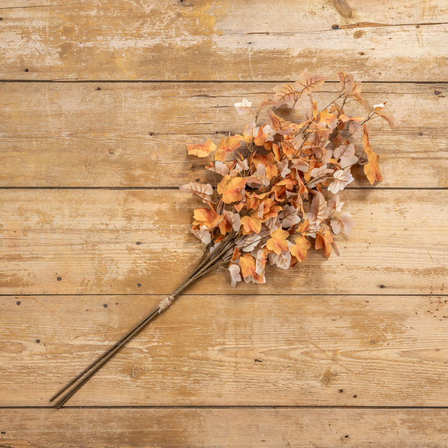 Apricot Maple Leaves Bush