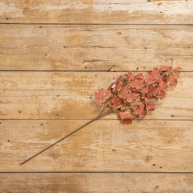 Brown Oak Leaves w/ Acorn Stem