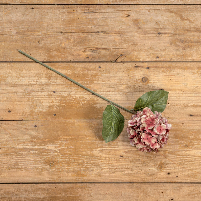 Autumn Mauve Hydrangea