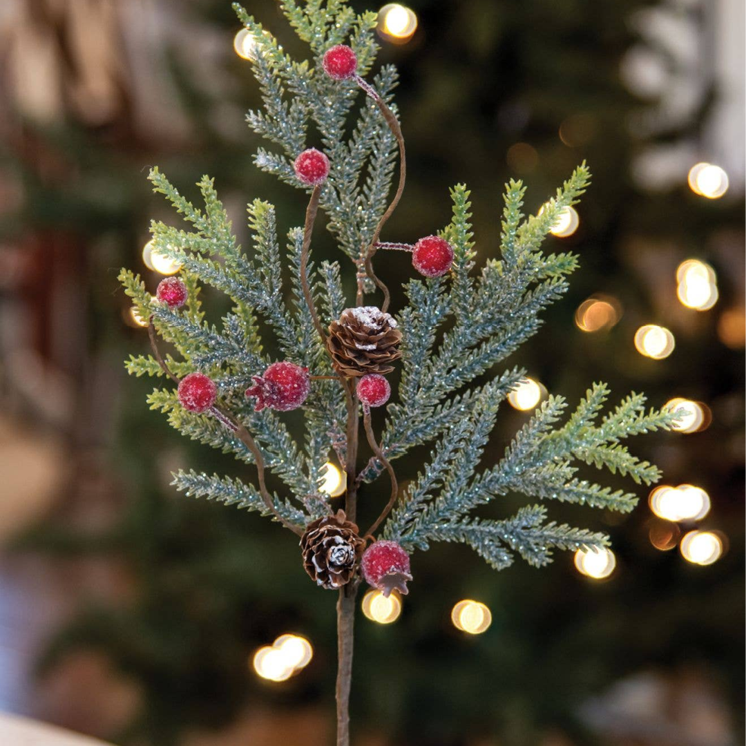 Mountain Pine w/ Berries Stem