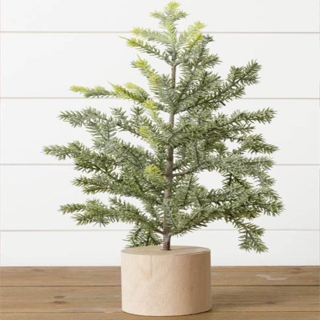 18" Sweet Frosted Pine
