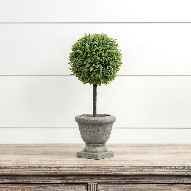 TOPIARY IN RUSTIC URN