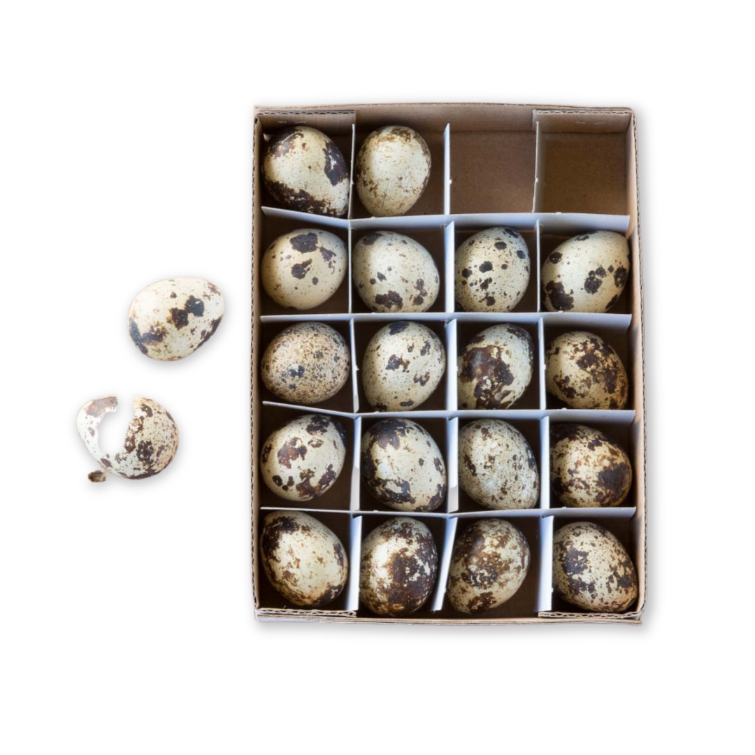 Natural Quail Eggs (S/20)