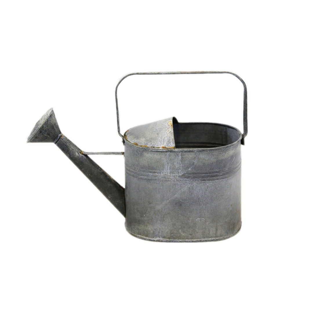 Large Zinc Watering Can