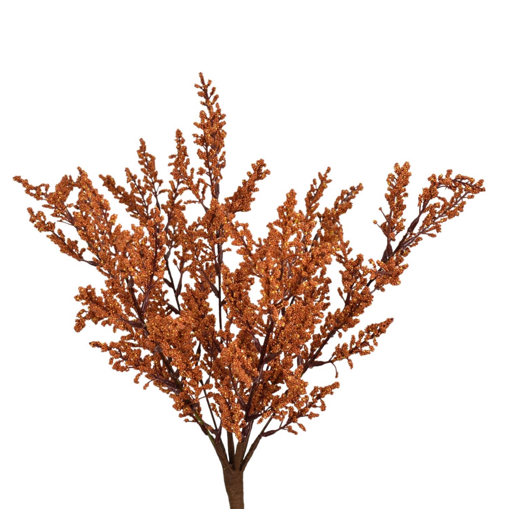 Burnt Orange Heather Bush