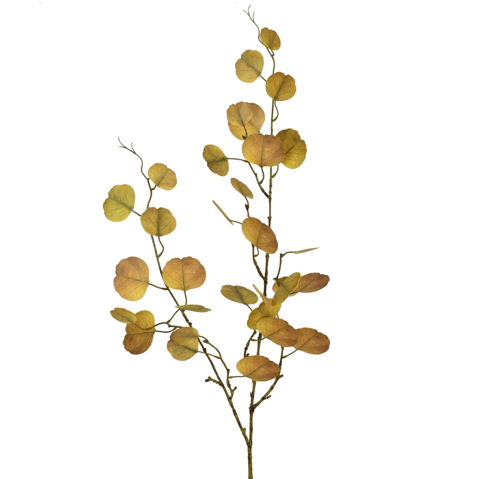 Faux Preserved Autumunal Yellow Eucalyptus