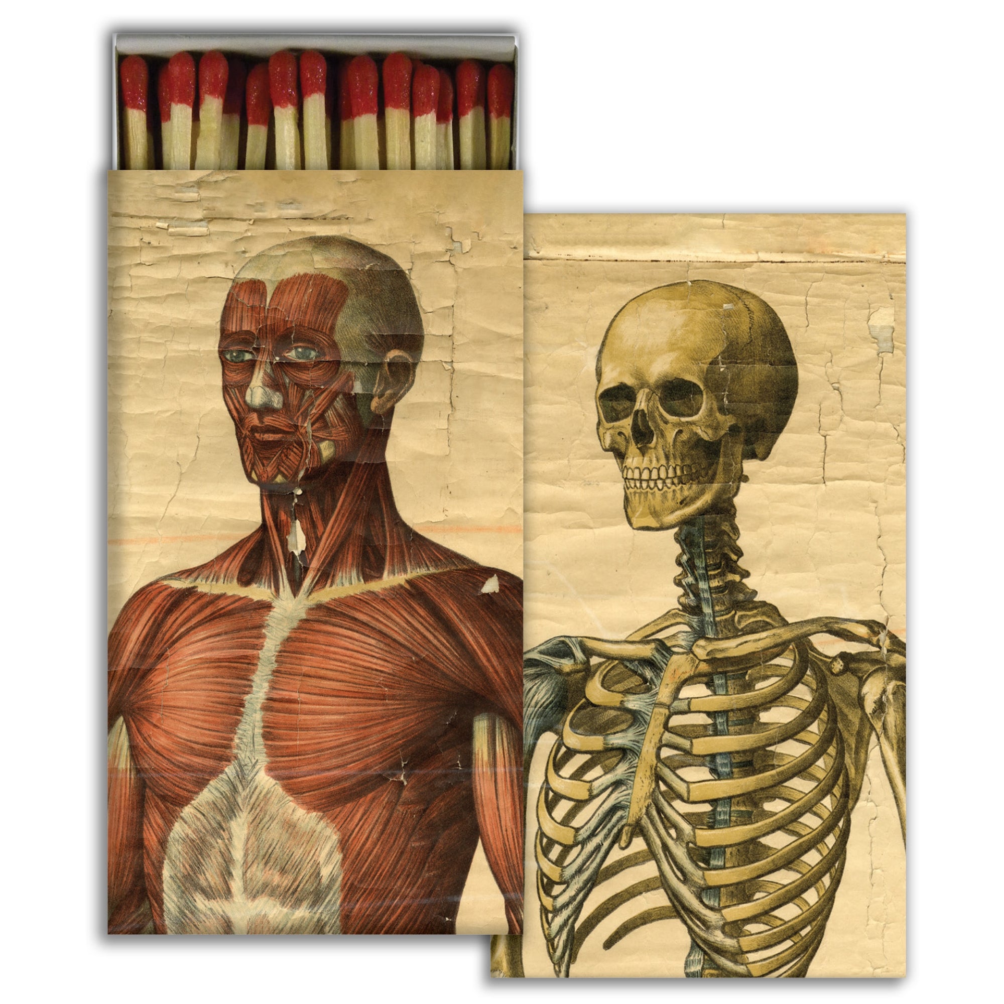 Matches - Muscle Man & Skeleton