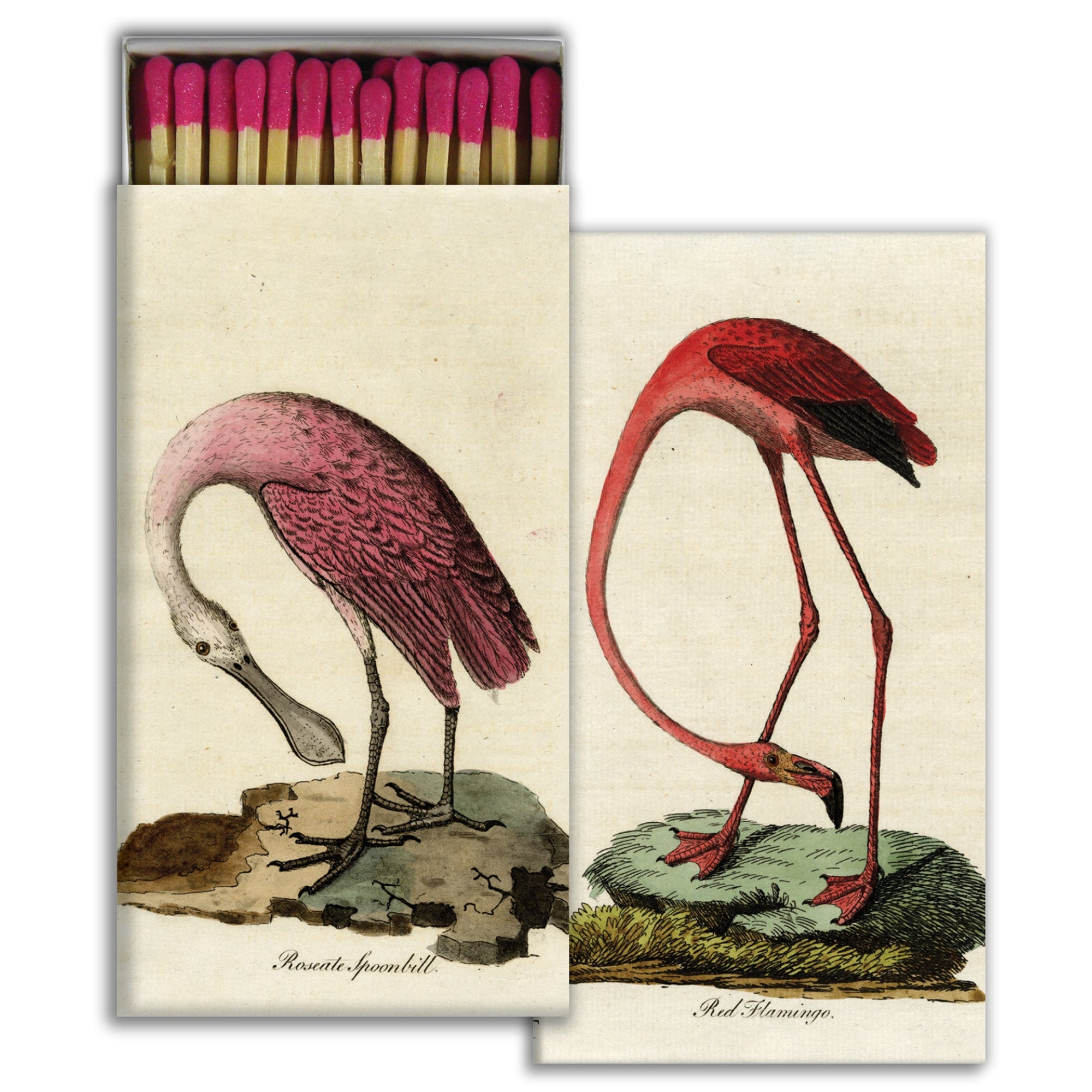 Matches - Flamingo & Spoonbill