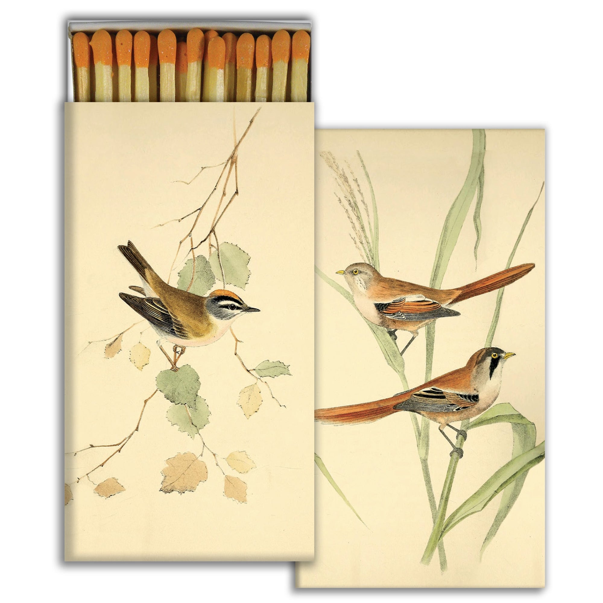 Matches - British Birds