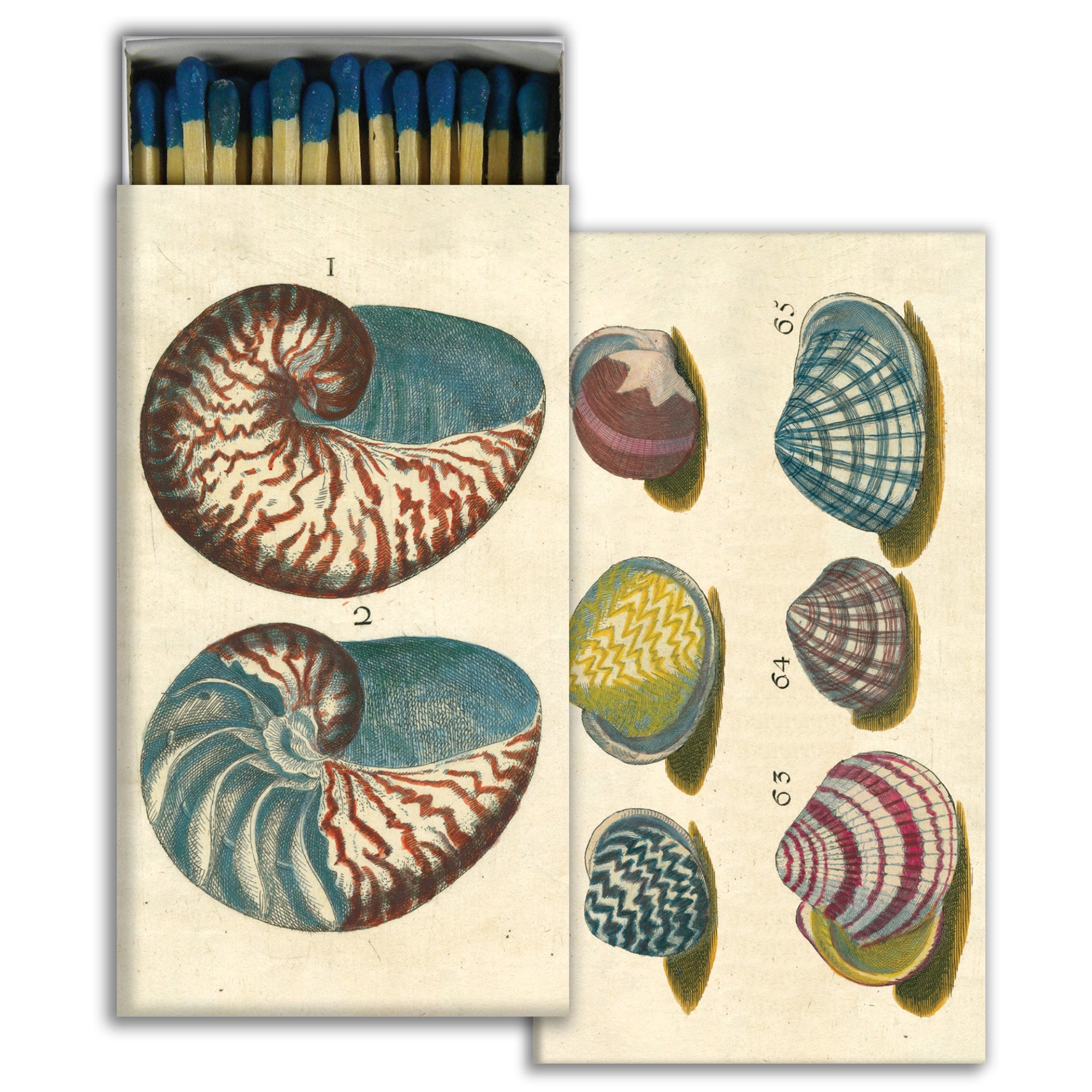 Matches - 18th Century Shells